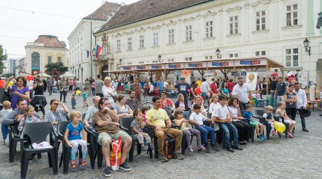 Több mint harminc szervezet mutatkozik be a X. Székesfehérvári Civil Napon